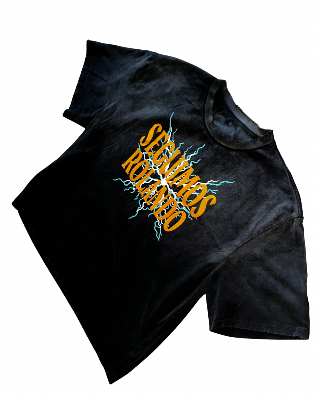 SEGUIMOS ROLANDO Heavy Tee